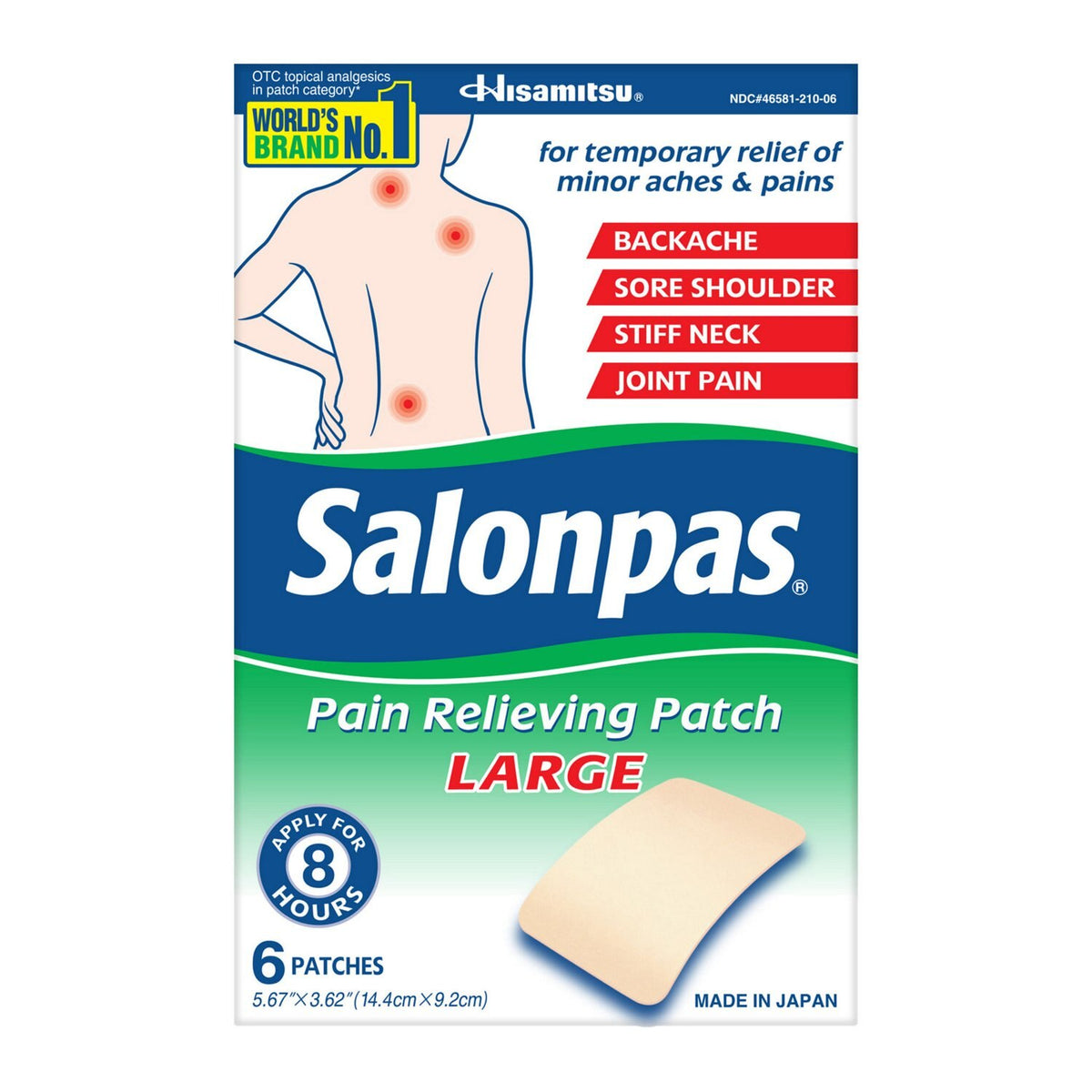 SALONPAS AP 10-6-3.1% 6 LARGE
