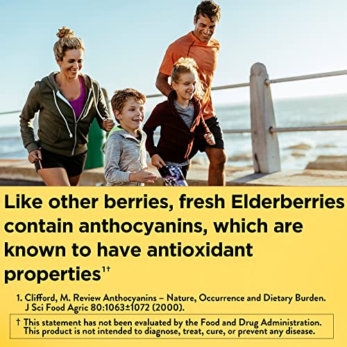 ELDERBERRY 100MG GMY 60CT NATURE MADE