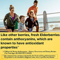 ELDERBERRY 100MG GMY 60CT NATURE MADE
