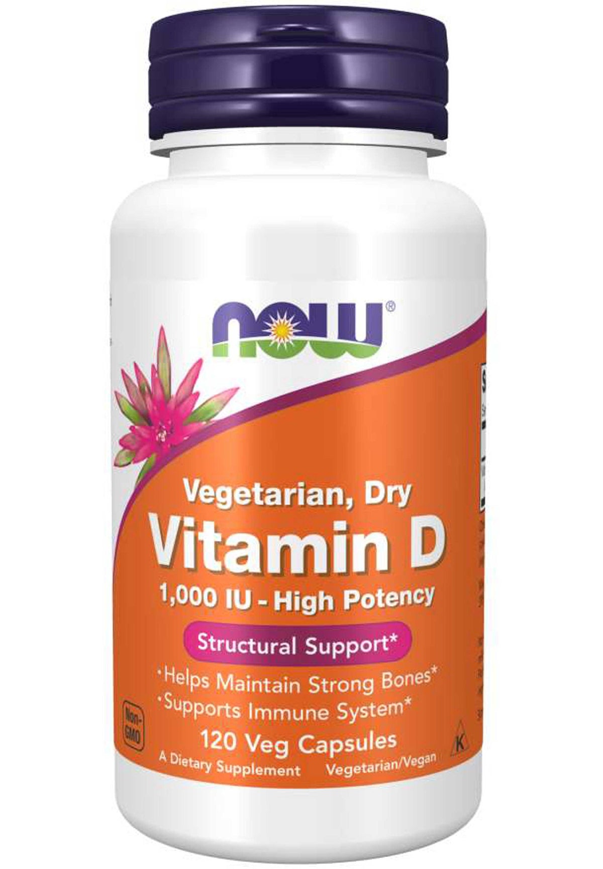 GNP VITAMIN D 10000IU TAB 100 CT