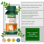 COENZYME Q10 GC 100MG 90 SFG G/F