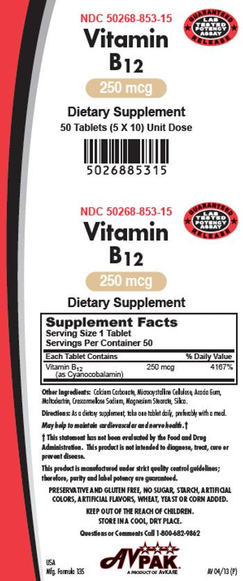 VITAMIN B12 250 MCG TAB 50 (5X10) UD