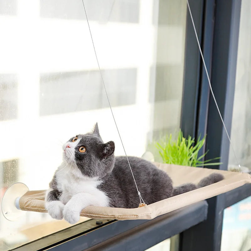 Hanging Cat Bed Aerial Cat Hammock Window Sunny Seat Kitten Climbing Frame Pet House Nest Accessories