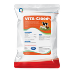 NT VITA C/BIOFL/RH TB 1000MG 100