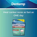 DENTEMP CANKER COVER 6CT