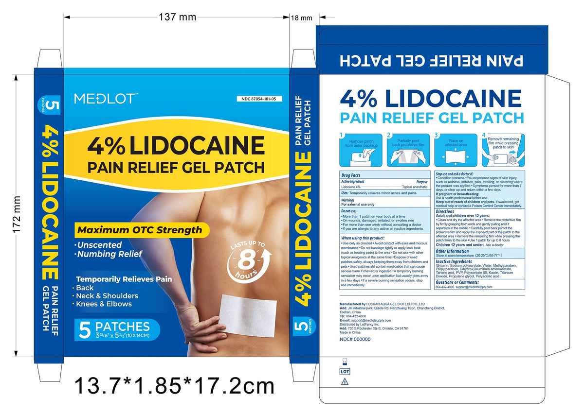 GNP LIDOCAINE PAIN RELIEF PF 4% PAT 5CT