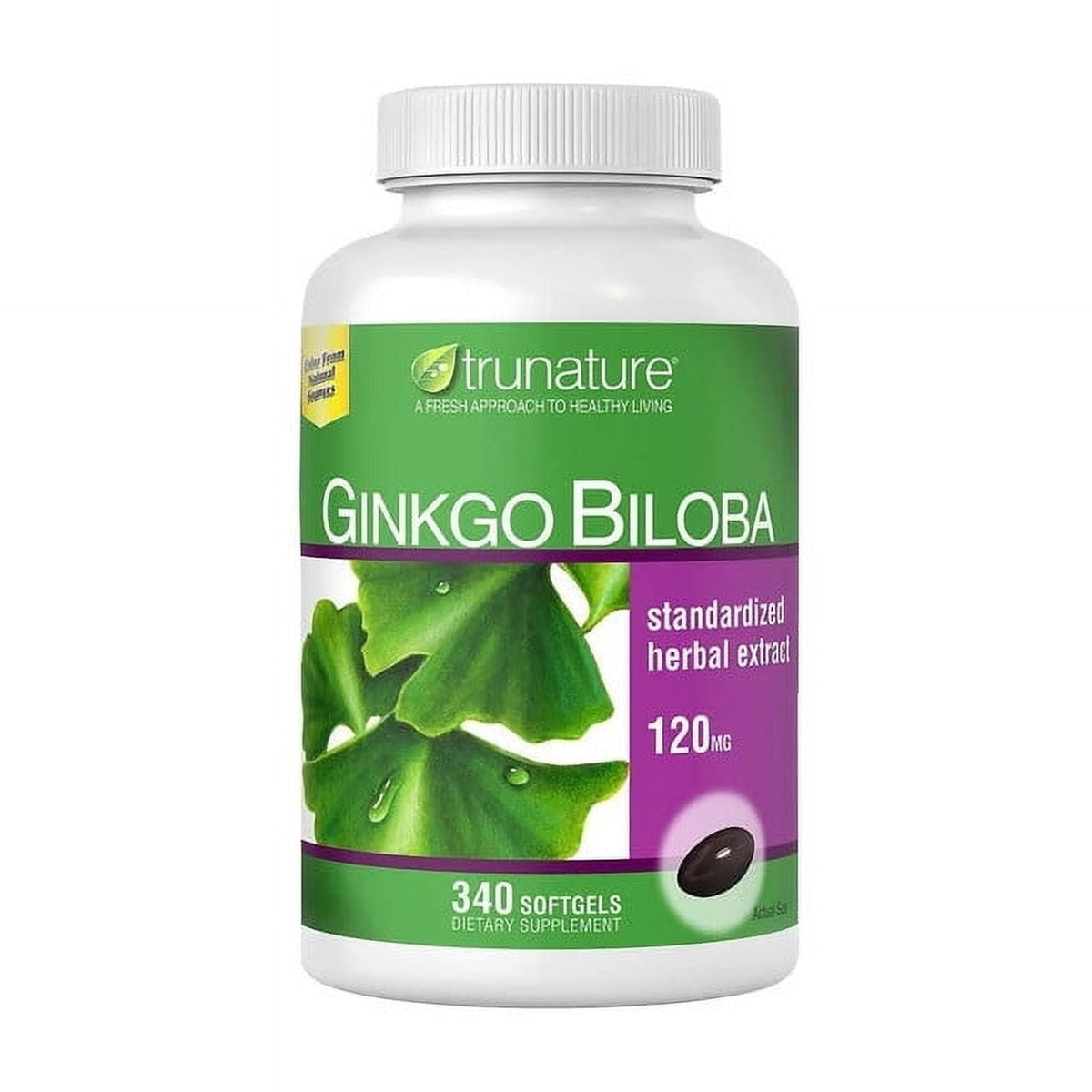 NT GINKGO BILOBA CP 120MG 100 RRL
